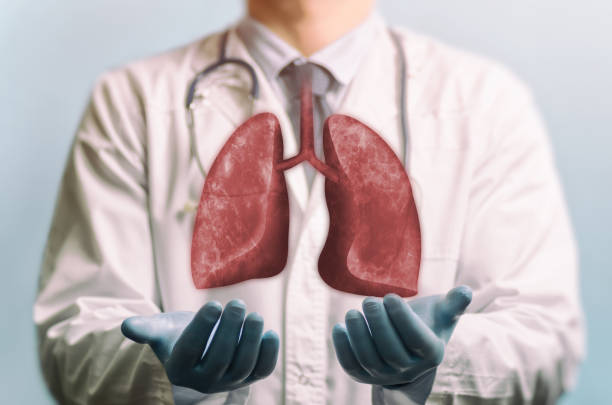 concetto di polmoni sani. - operazione di trapianto foto e immagini stock