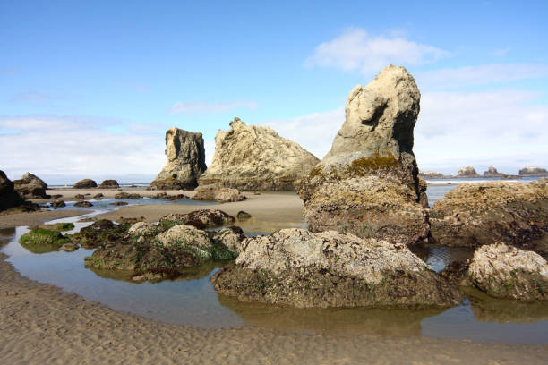 Unique Sea Stacks on the Oregon Coast at Low Tide