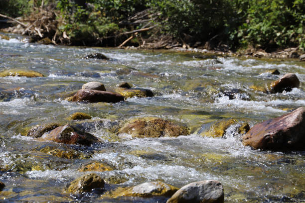 istock A clean mountain stream in the Koscieliska valley 1138671451