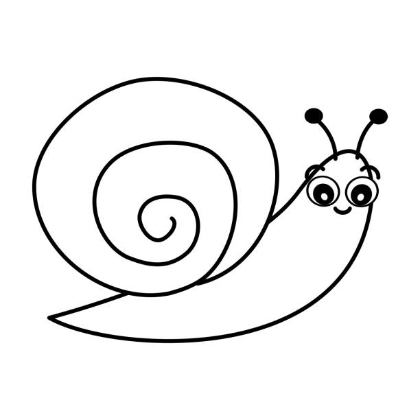 urocza kreskówka czarno-biała ilustracja wektorowa ślimaka do kolorowania sztuki - snail isolated white white background stock illustrations