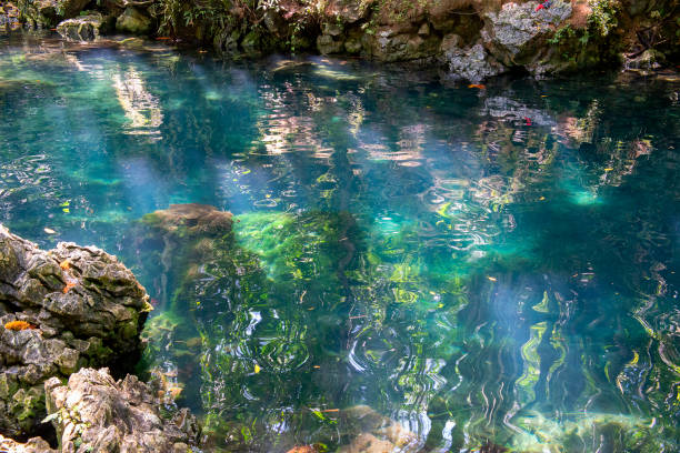 istock Tilanga pond in North Makale district 1138671632
