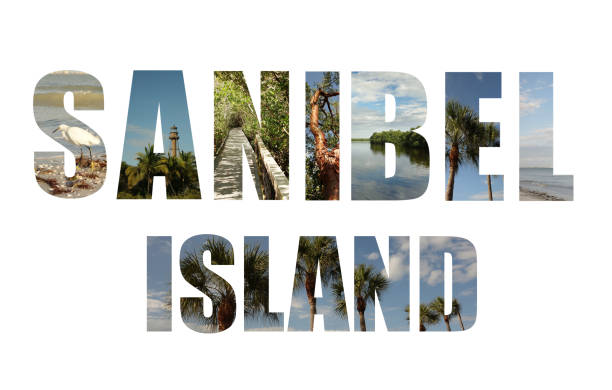 istock Sanibel Island Florida collage 1138671737