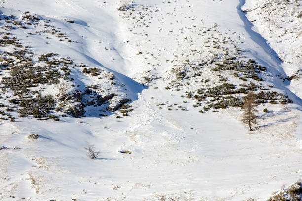 istock Mountain slopein Bessans valley 1138673575