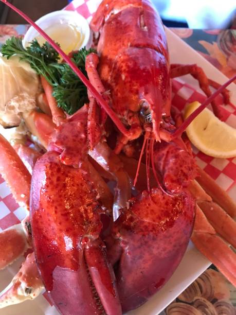 istock Lobster and Crab Claw Platter 1138675515