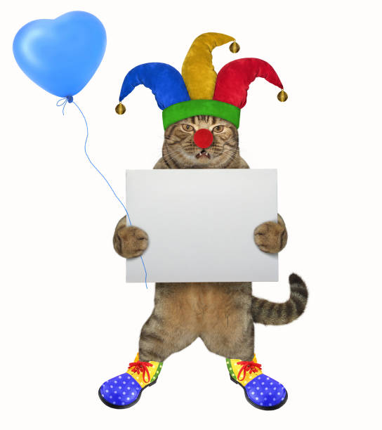 istock Cat clown with a blank sign and a balloon 1138677997