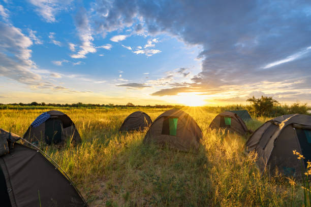 istock bush camping under the african sky 1138679300