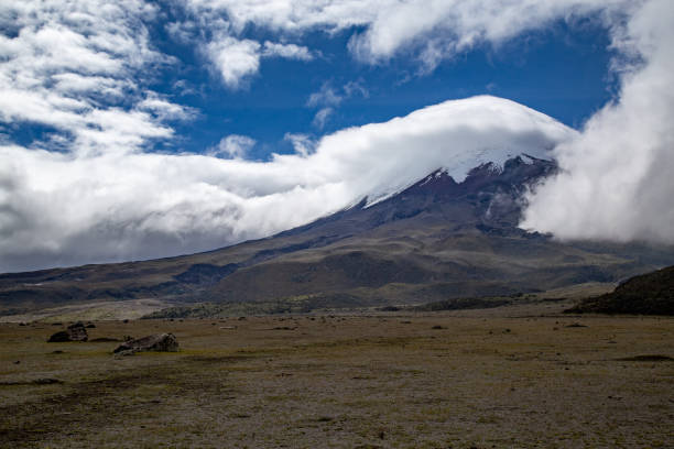 istock Cotopaxi National Park 1138679772