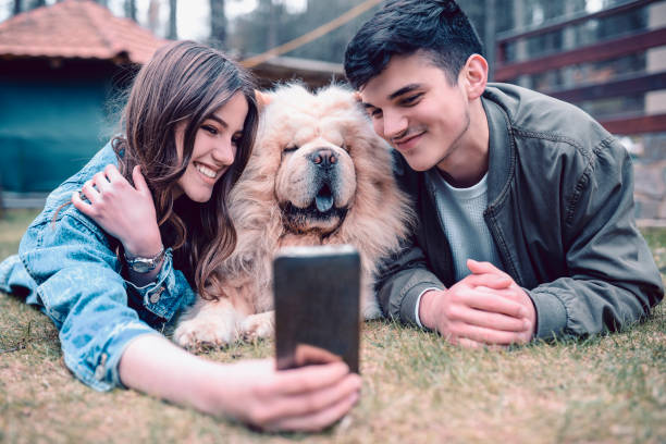istock Young Couple Taking Selfie With Chow Dog 1138680966