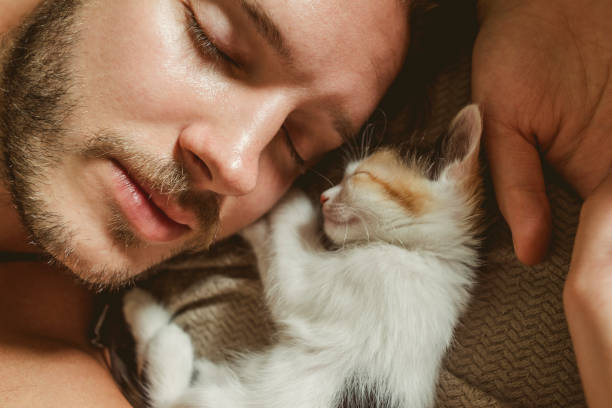 istock best friends having a nap 1138681117
