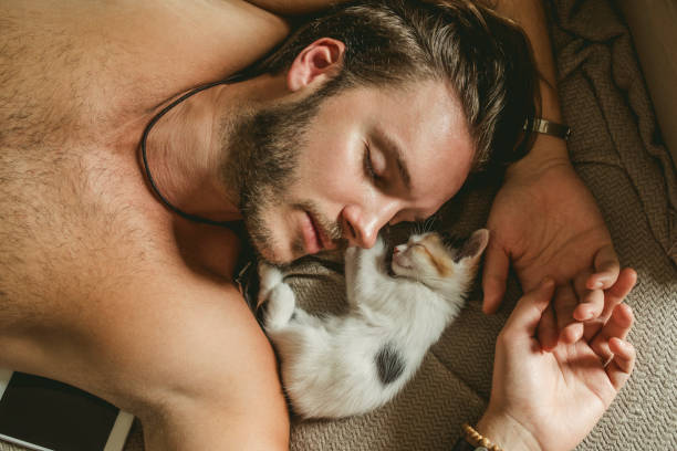 lazy mornings at home man and his kitten napping pet adoption photos stock pictures, royalty-free photos & images