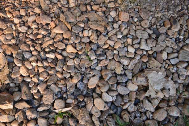istock Nature background from the sea pebbles stones 1138681505