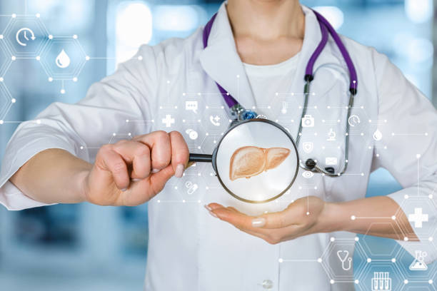 istock A doctor showing a medical service structure with a liver inside a mafnifier as its part. 1138681662