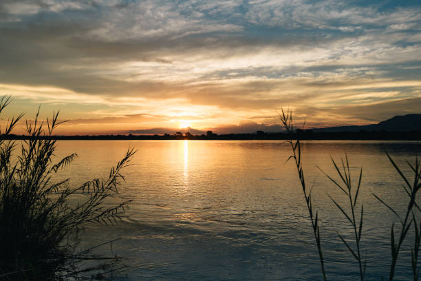view over the Zambezi river at colorful sunrise hour