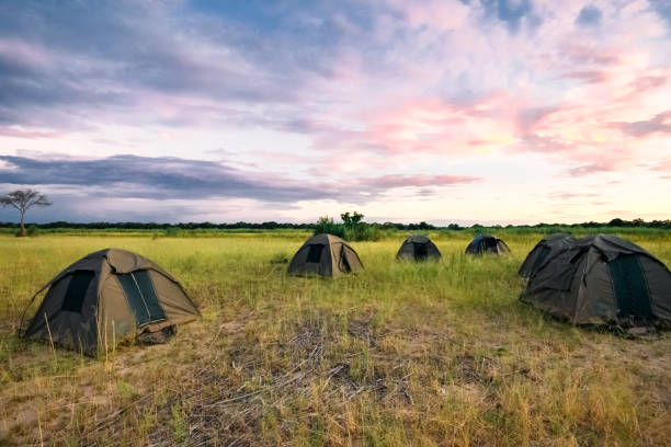 istock bush camping under the african sky 1138683291