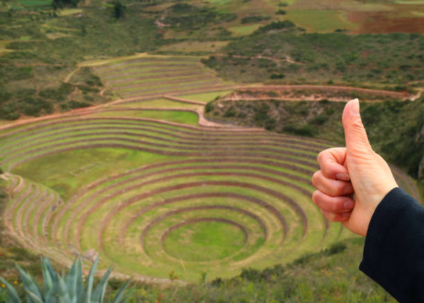 main de femme thumbs up sur le site archéologique de moray, les terrasses agricoles inca dans la région de cusco, pérou - hand sign human hand ok sign grass photos et images de collection