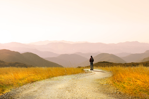 A male hiker stops as he hikes on a footpath that elegantly curves through a tall stand of wild golden grasses. He takes a moment to enjoy the majestic view of mountain ridges in front of him that recede into the setting or rising sun that throws a golden cast across the entire scene.