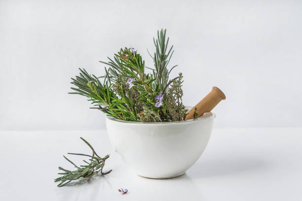 concetto di erboristeria - alternative medicine mortar and pestle herbal medicine herb foto e immagini stock