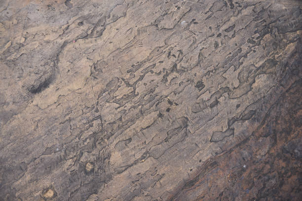 istock surface of concrete wall or gray floor, industrial background 1138686661