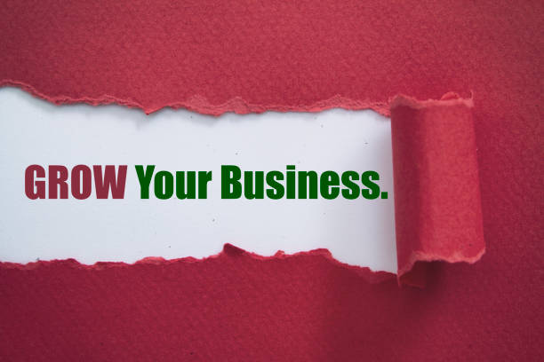istock Grow your business 1138688353