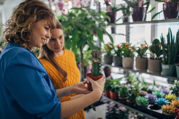 istock Buying succulents 1138691246