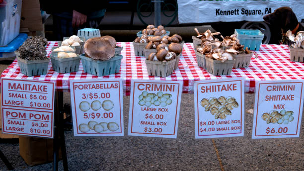 Mushrooms for Sale at Farmers Market