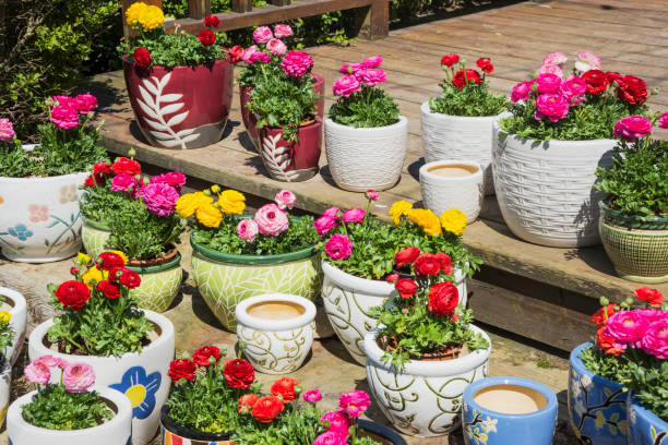 istock Flower pots in the garden 1138692495