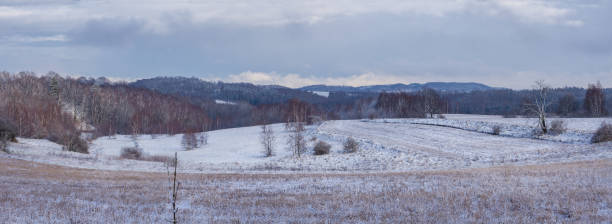 istock Wide field in winter 1138694077