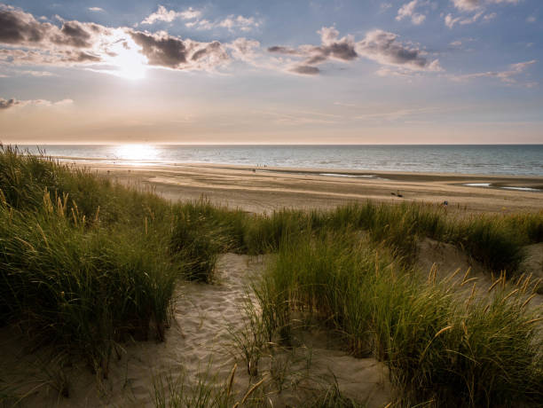 istock Sand path within marram grass covered dunes leads towards the beach just prior sunset in northern France 1138694569