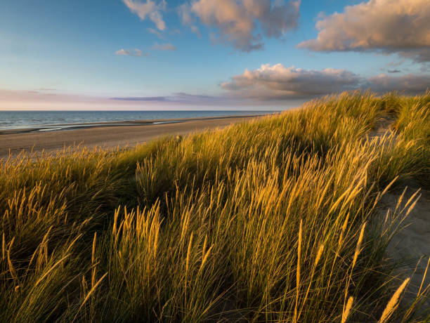 istock View from dunes with marram towards calm ocean 1138694591