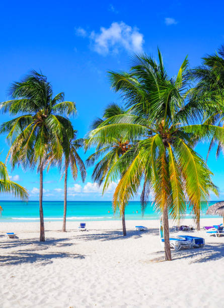 idílica playa de varadero en cuba - varadero beach fotografías e imágenes de stock