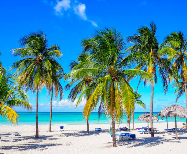 idílica playa de varadero en cuba - varadero beach fotografías e imágenes de stock