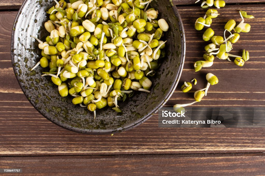 Mungo bean sprouts on brown wood Lot of whole fresh green bean sprouts mungo in a grey ceramic bowl flatlay on brown wood Antioxidant Stock Photo