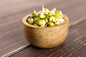Mungo bean sprouts on brown wood