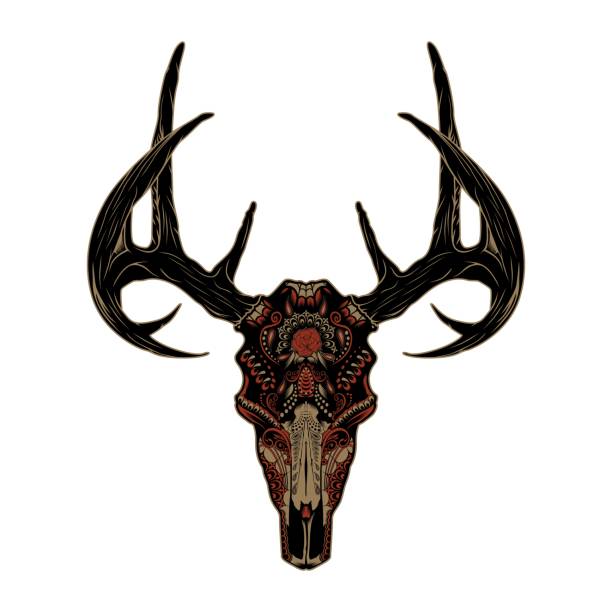 Day Of The Dead Deer Skull Illustration Stock Illustration - Download Image  Now - Skull, Deer, Moose - iStock