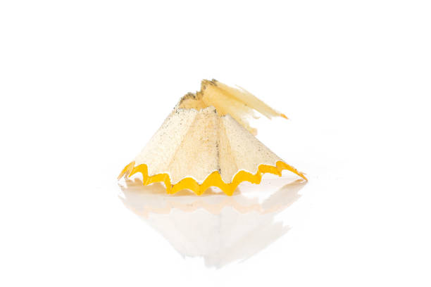 One piece of yellow pencil fan-shaped shaving isolated on white background