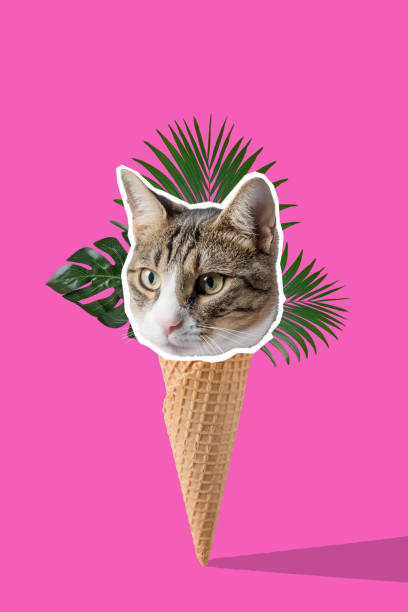 istock Funny cat head on ice cream cone. Minimal vibrant summer background. 1138701776