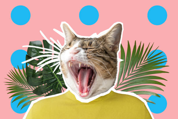 istock Cat and palm leaf collage, pop art concept design. Minimal vibrant summer background. 1138701831