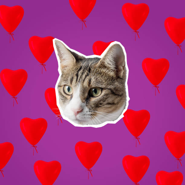 istock Cat head with bright hearts collage, pop art concept design. Minimal love background. 1138701848