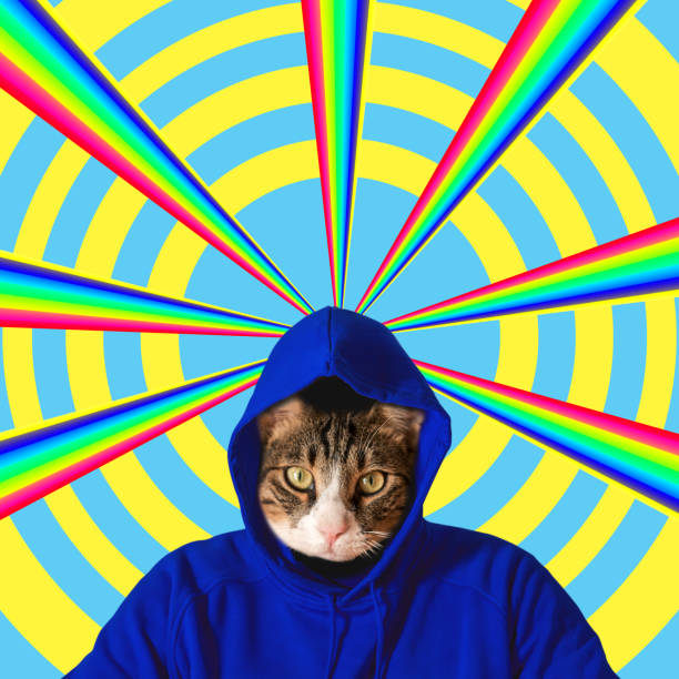 istock Cat head with rainbow, collage pop art concept design. Minimal summer background. 1138701858