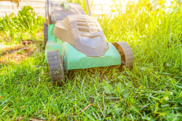 istock Lawn mower cutting green grass in backyard 1138703394