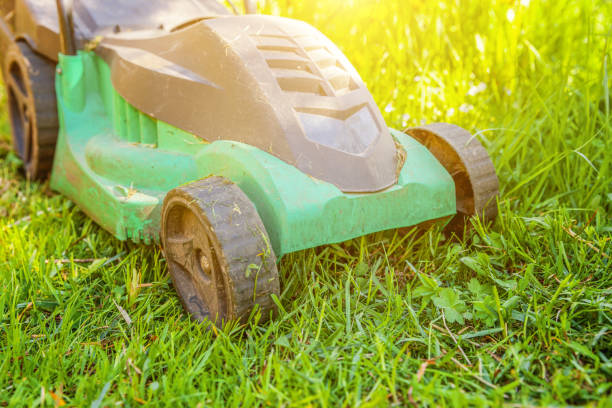 istock Lawn mower cutting green grass in backyard 1138703456