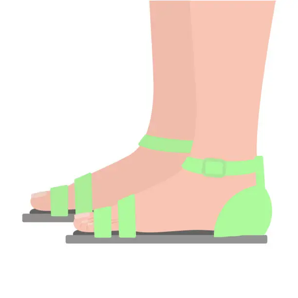 Vector illustration of Sandals side view. Feet in shoes