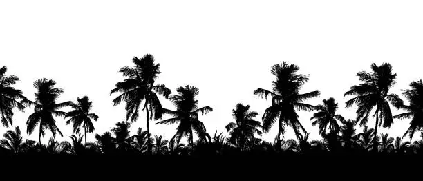 Vector illustration of Pattern or background with realistic silhouette of tree tops, tropical palm trees, isolated on white background with space for text - vector