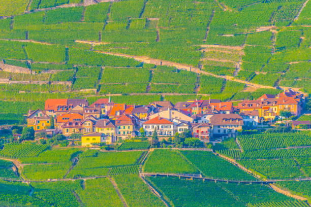 epesses village perched on a hill near geneva lake, switzerland - geneva canton imagens e fotografias de stock