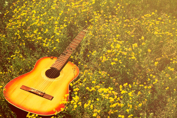 the guitar lies on the ground, the concept: a song about summer, music in colors, a flower garden, toned - ballad imagens e fotografias de stock
