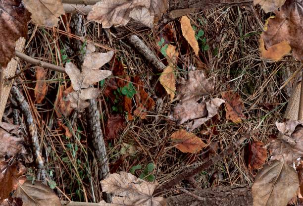 Fall leaves on the bush. Ideal for hunting and military purposes. Fall leaves on the bush. Ideal for hunting and military purposes. Realistic camouflage seamless pattern. tree camo stock pictures, royalty-free photos & images