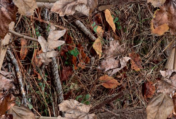 Fall leaves on the bush. Ideal for hunting and military purposes. Fall leaves on the bush. Ideal for hunting and military purposes. Realistic camouflage seamless pattern. camo pattern stock pictures, royalty-free photos & images