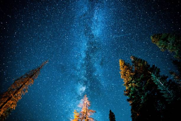 istock The Milky Way in Sequoia National Park 1138709697