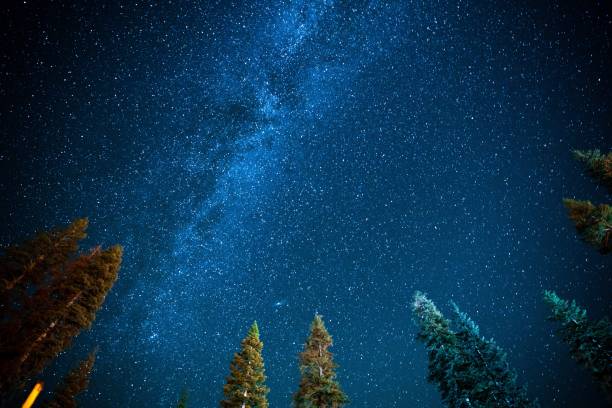 istock The Milky Way in Sequoia National Park 1138709698
