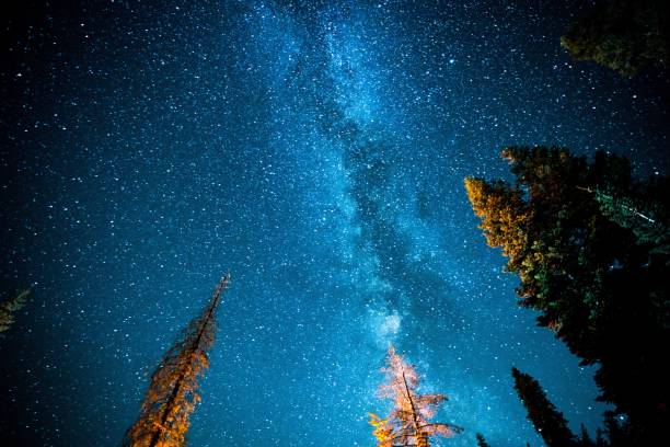 istock The Milky Way in Sequoia National Park 1138709753